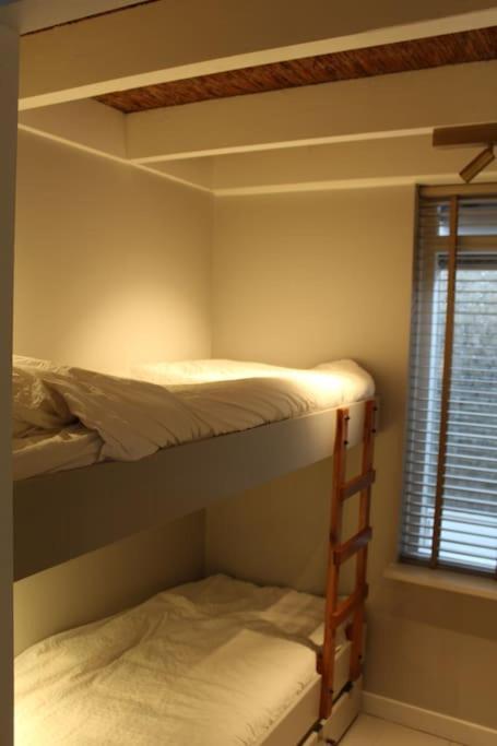 Nieuw Bootique Frysk Huske Langweerderwielen Holiday home Boornzwaag over de Wielen