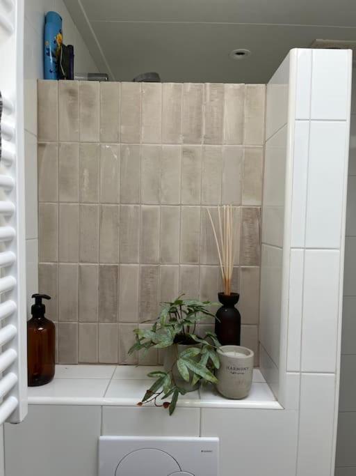 Nieuw Bootique Frysk Huske Langweerderwielen Holiday home